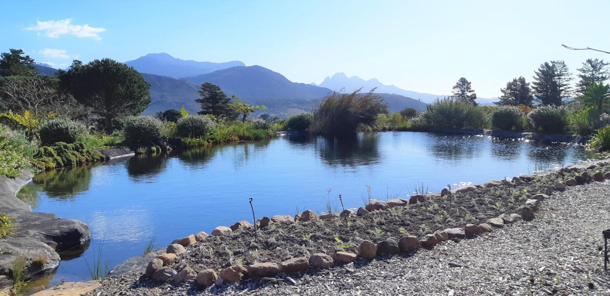 Gecko Cottage At Artemis Franschhoek Exterior foto