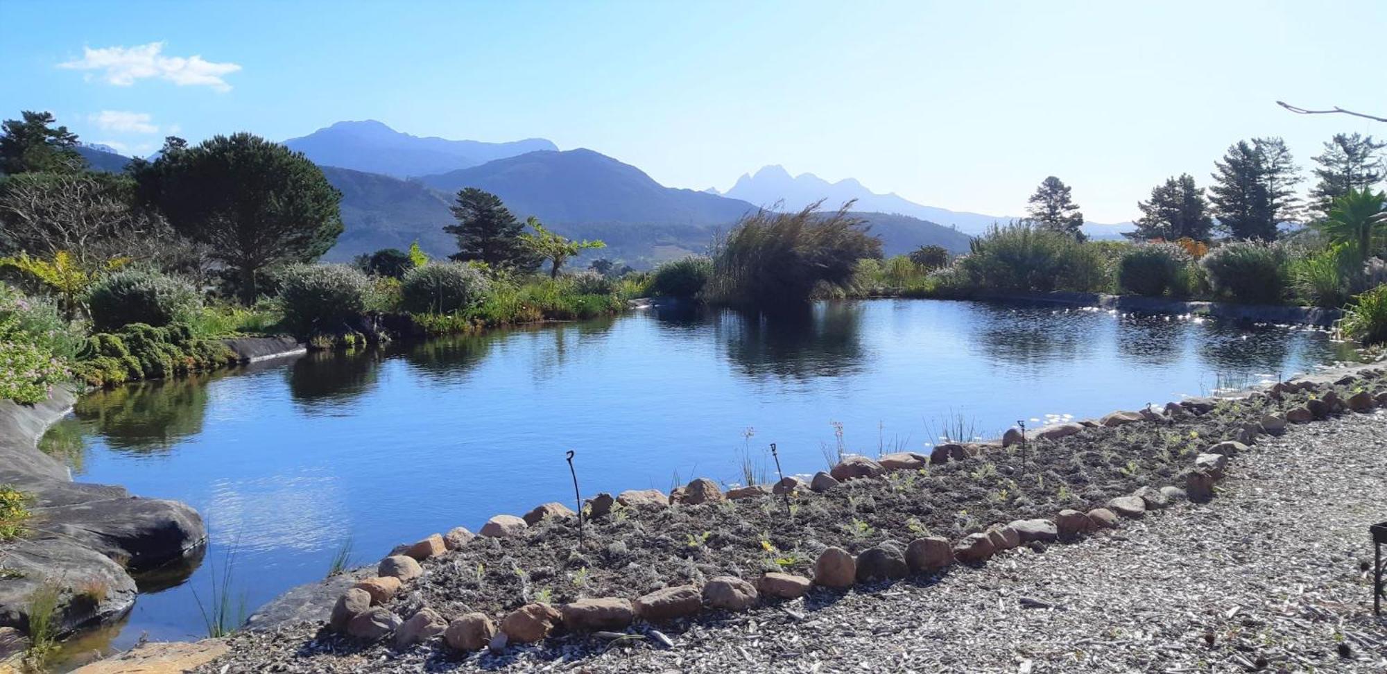 Gecko Cottage At Artemis Franschhoek Exterior foto